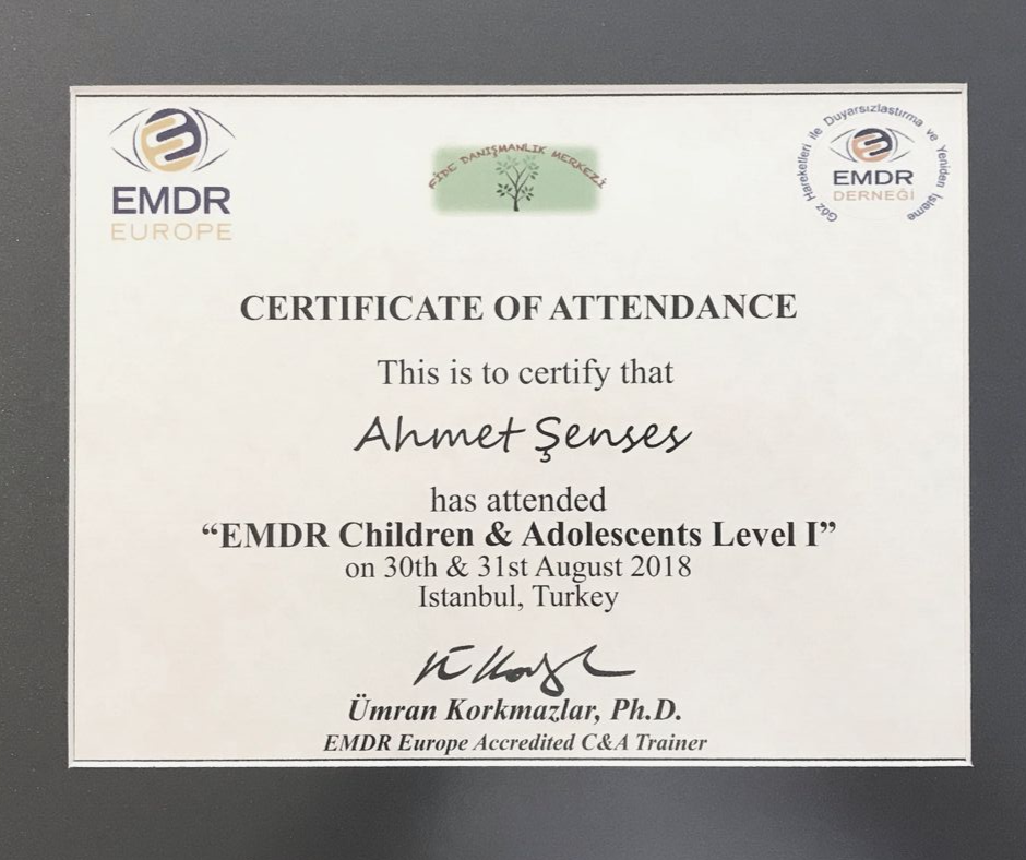cocuk emdr ahmet senses